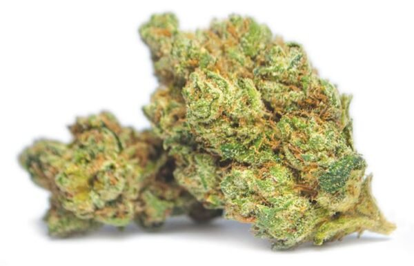 Jet Fuel Strain