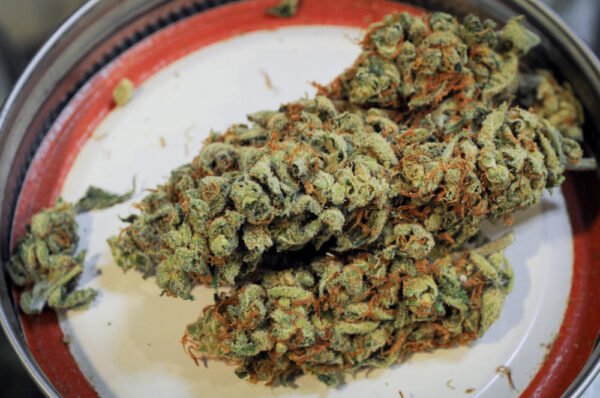 Durban Poison Strain - Image 2