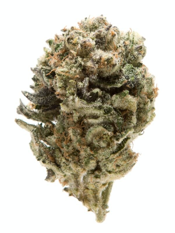 Animal Mints Strain