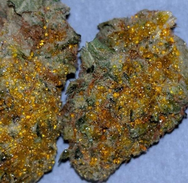 Sun Rock Strains - Image 2