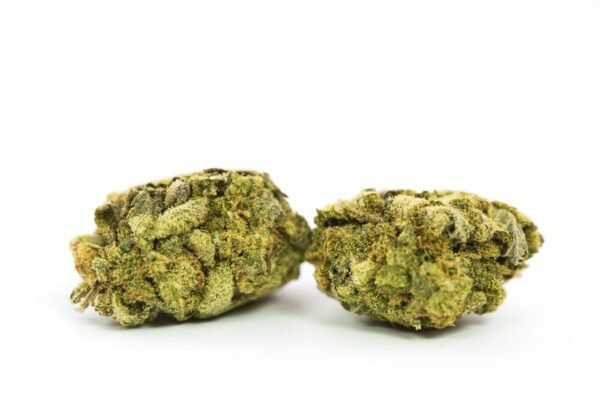 Dark Star Strain