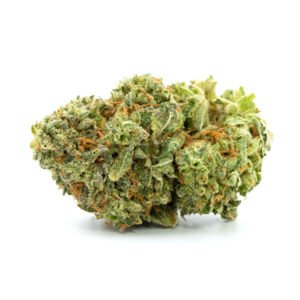 G13 Haze Strain