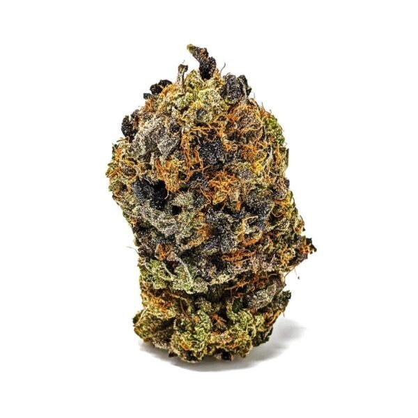 Gas Strain - Image 3