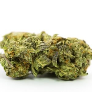 Grand Master Kush Strain