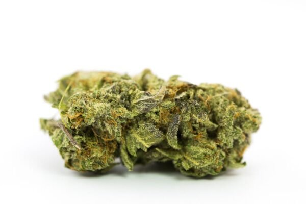 Grand Master Kush Strain