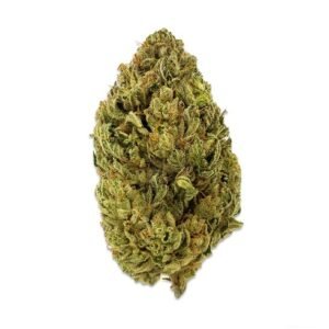 Headdawg Strain