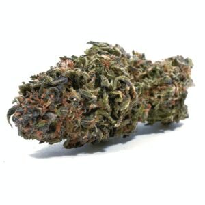 Hindu Kush Strain