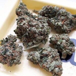 Holy Grail OG Strain