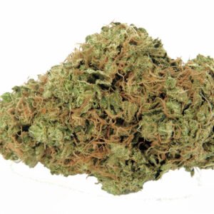 Lemon Tree Strain