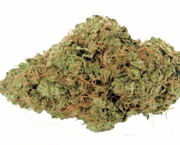 Lemon Tree Strain