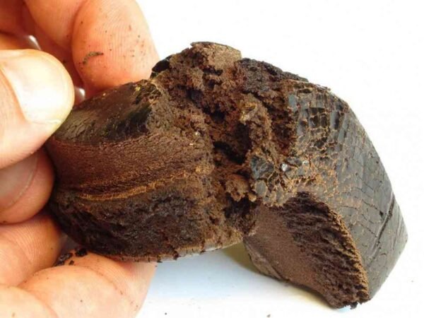 Malana Hash Cream - Image 3