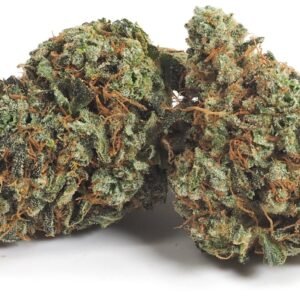 Orange Glue Strain