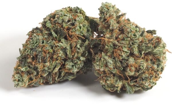 Orange Glue Strain