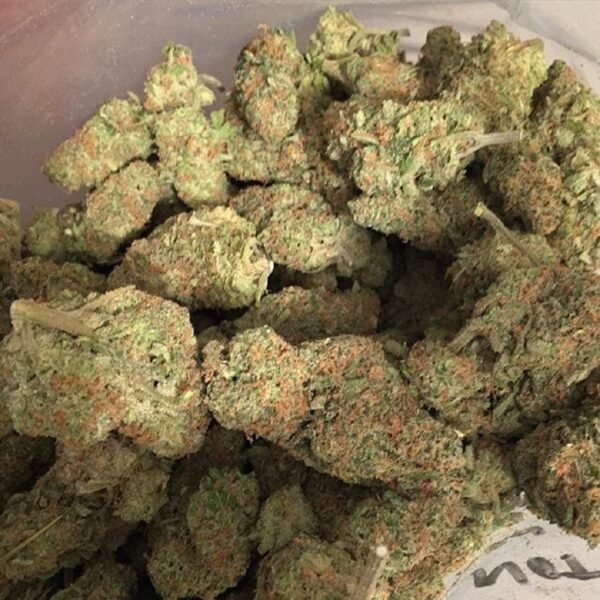 OG Kush Strain - Image 2