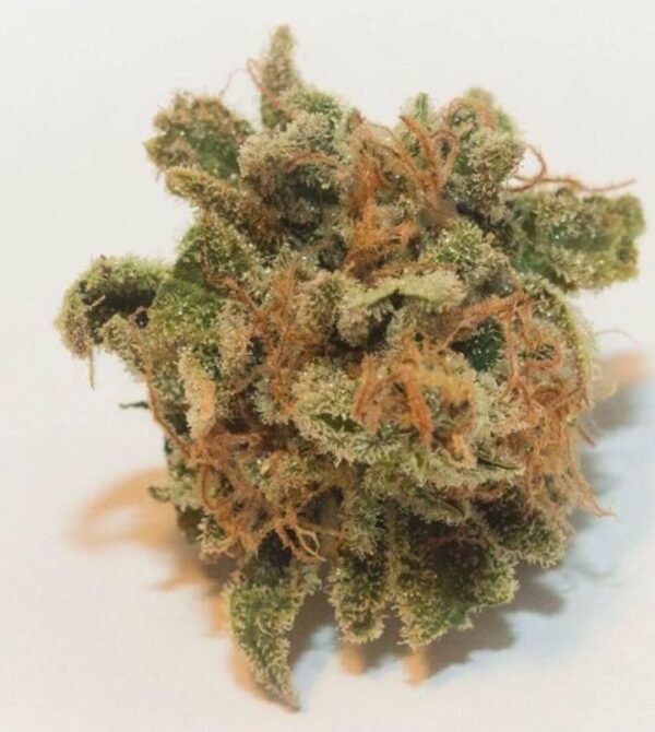 Tangieland Strain