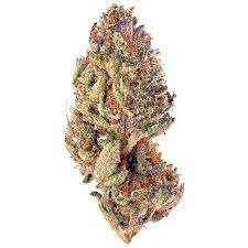 Tropicana Cookies Strain