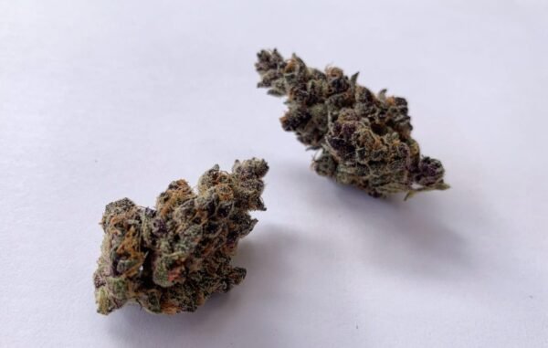 Tropicana Cookies Strain - Image 3