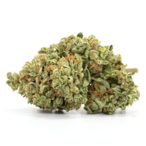 Violator Kush