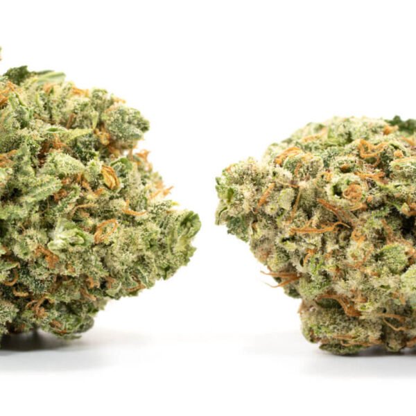 Violator Kush - Image 3
