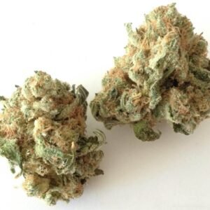 White Widow Strain