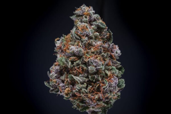 Zookies Strain - Image 2
