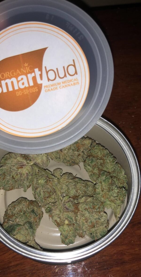 Smart Buds