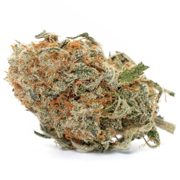 Blue Cheese Strain