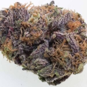 Grandaddy Purple Kush
