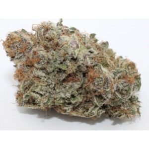 Grape God strain