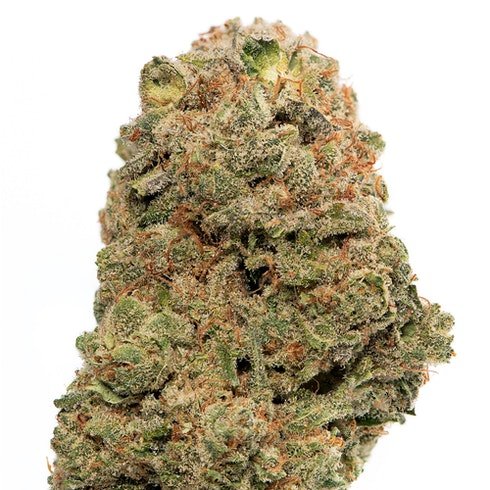 Pootie Tang Strain