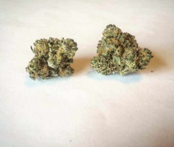 Juicy Fruit Weed Strain