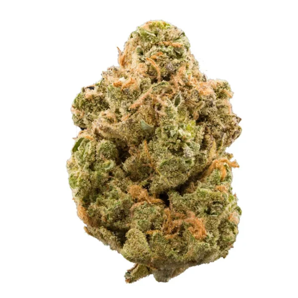 Sunset Sherbet strain
