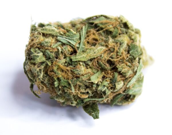 Mr Nice Guy Weed Strain
