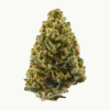 Northern Lights Strains