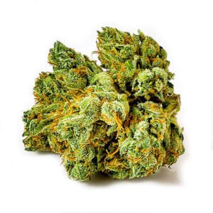 Tahoe OG Kush Strain