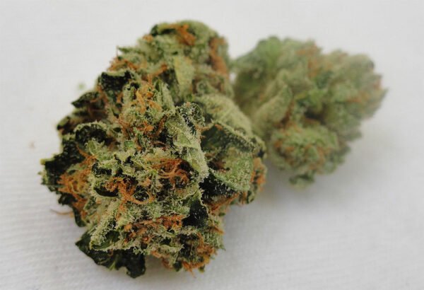 Tahoe OG Kush Strain - Image 3