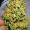 Northern Lights Strains - Image 2