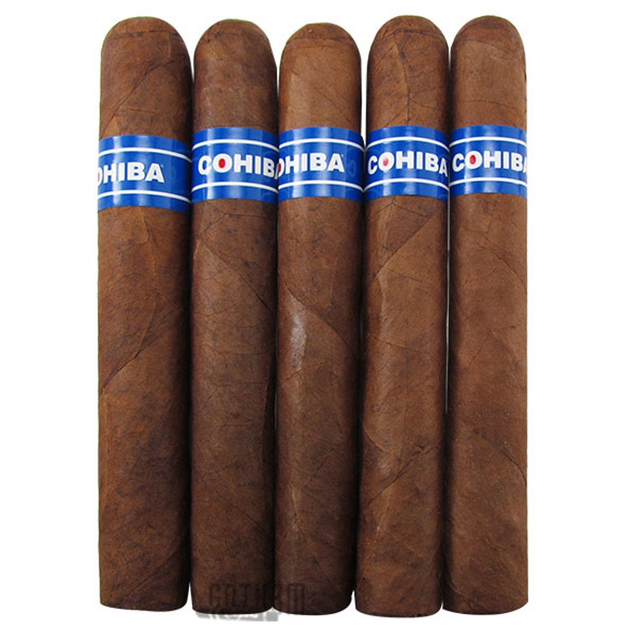 cohiba blue robusto zigarre cohiba blue robusto zigarre